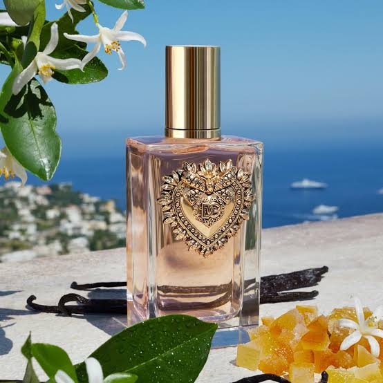 Devotion EDP by Dolce&Gabbana